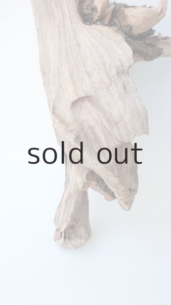 画像2: 変形流木 (2)