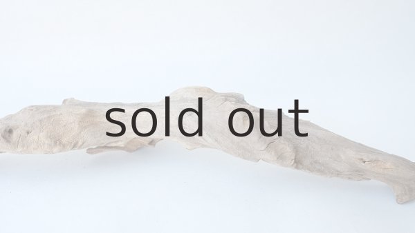 画像7: 変形流木 (7)