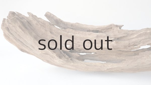 画像8: 変形流木 (8)