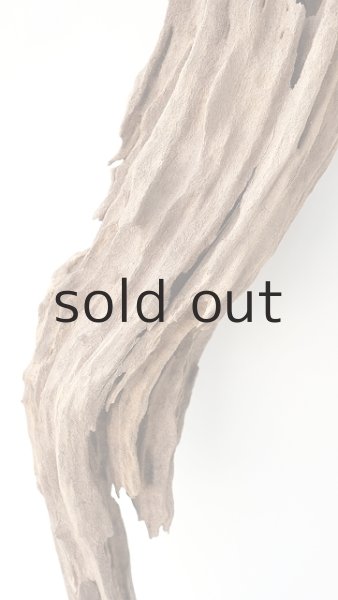 画像3: 変形流木 (3)