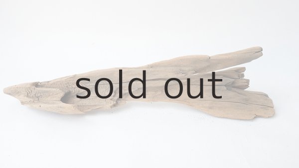 画像6: 変形流木 (6)