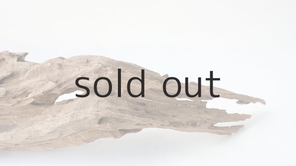 画像9: 変形流木 (9)