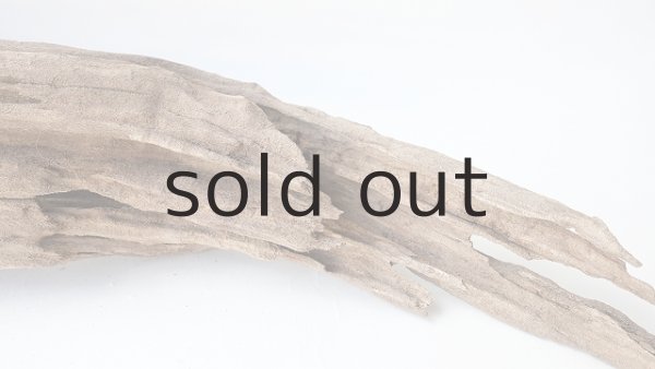 画像11: 変形流木 (11)