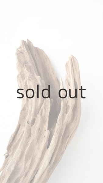 画像4: 変形流木 (4)