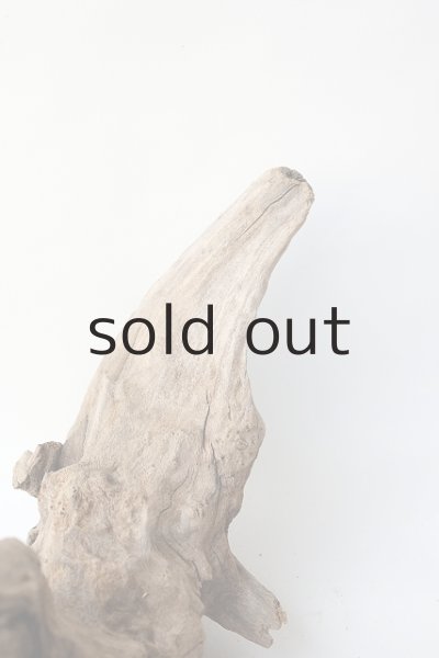 画像6: 変形流木 (6)