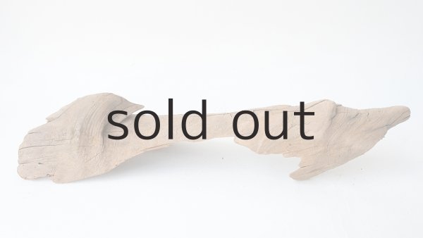 画像4: 変形流木 (4)