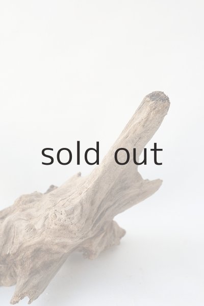 画像4: 変形流木 (4)