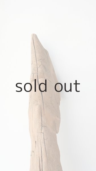 画像3: 変形流木 (3)