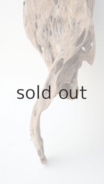 画像2: 変形流木 (2)