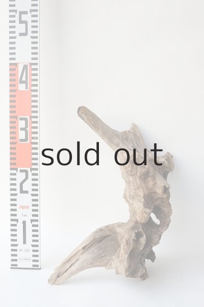 画像9: 変形流木 (9)