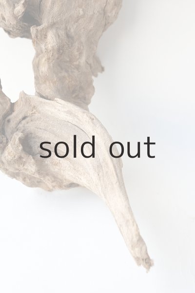 画像7: 変形流木 (7)