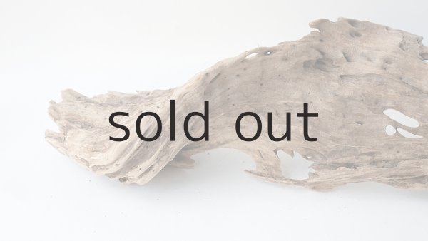 画像6: 変形流木 (6)