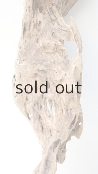 画像3: 変形流木 (3)