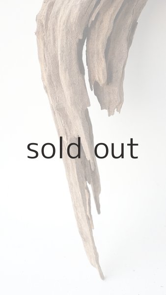 画像2: 変形流木 (2)