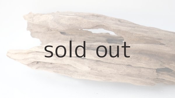 画像10: 変形流木 (10)