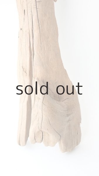 画像2: 変形流木 (2)