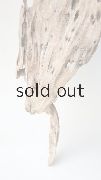 画像5: 変形流木 (5)