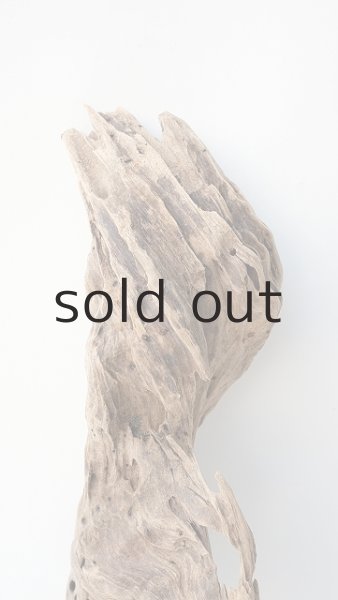 画像4: 変形流木 (4)