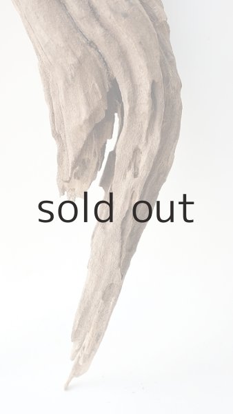 画像5: 変形流木 (5)