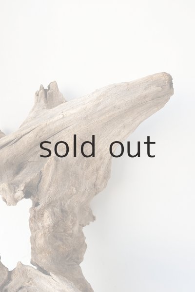 画像8: 変形流木 (8)