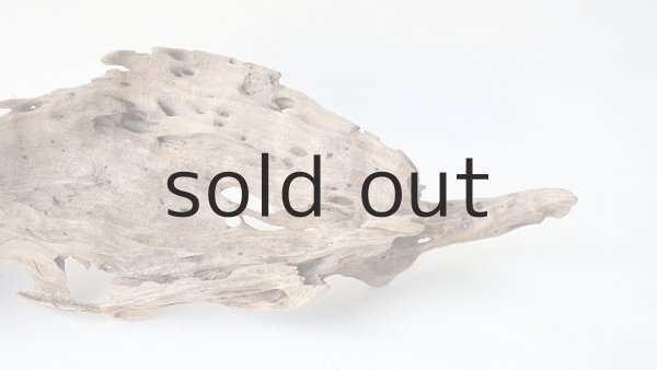 画像7: 変形流木 (7)