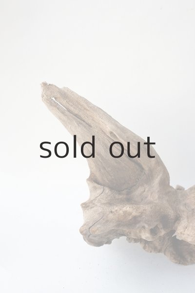 画像3: 変形流木 (3)