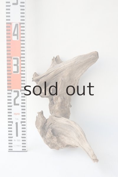 画像10: 変形流木 (10)