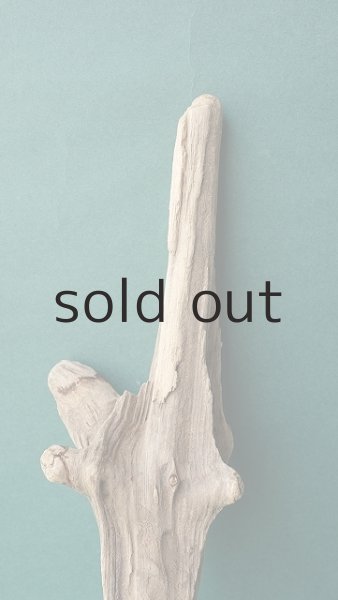 画像3: 変形流木 (3)