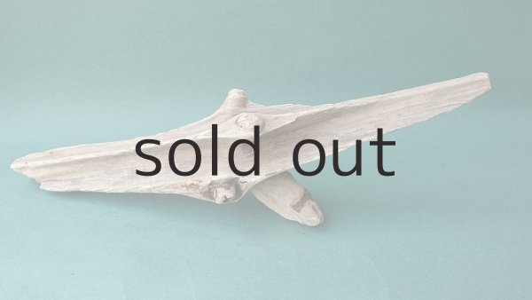 画像4: 変形流木 (4)