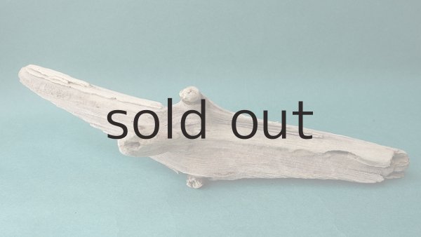 画像6: 変形流木 (6)