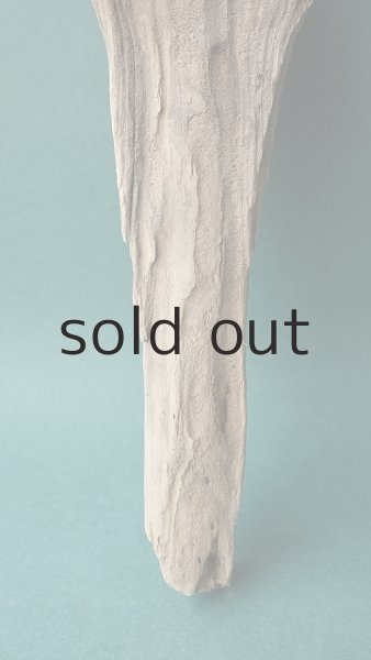 画像2: 変形流木 (2)