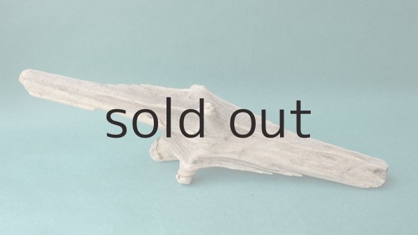 画像5: 変形流木 (5)