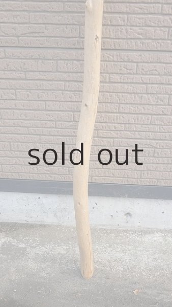 画像2: 棒流木・長尺 (2)