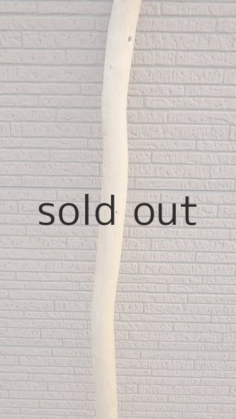 画像3: 棒流木 (3)