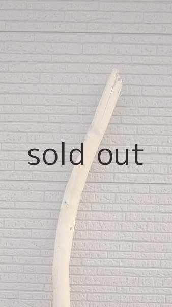 画像4: 棒流木 (4)