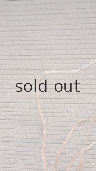 画像4: 幹流木 (4)