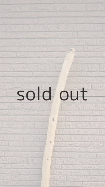 画像4: 棒流木・長尺 (4)