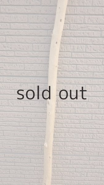 画像3: 棒流木・長尺 (3)