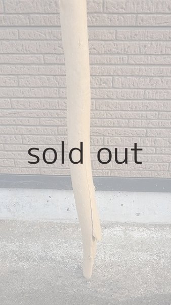 画像2: 棒流木 (2)