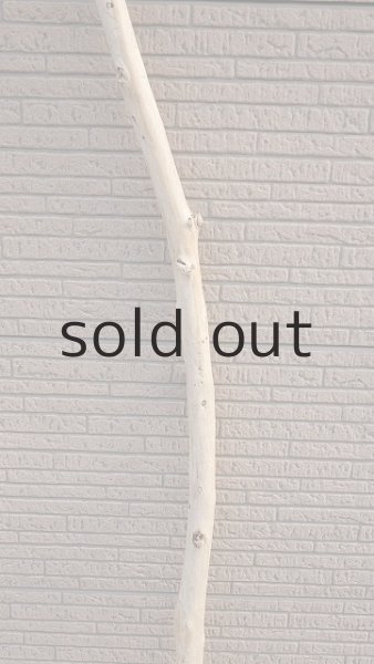 画像3: 棒流木・長尺 (3)