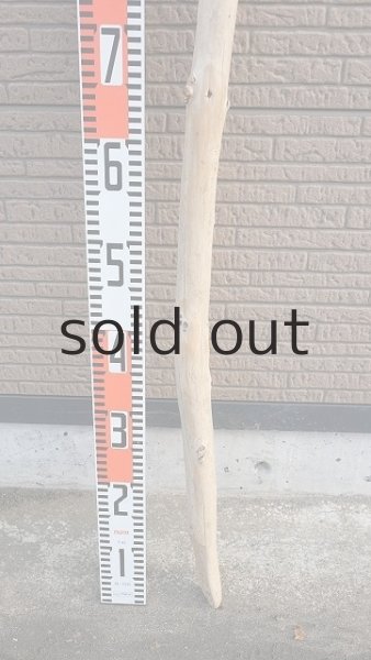 画像5: 棒流木・長尺 (5)