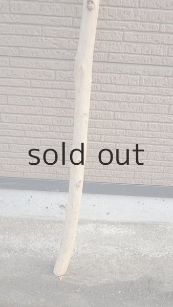 画像2: 棒流木・長尺 (2)