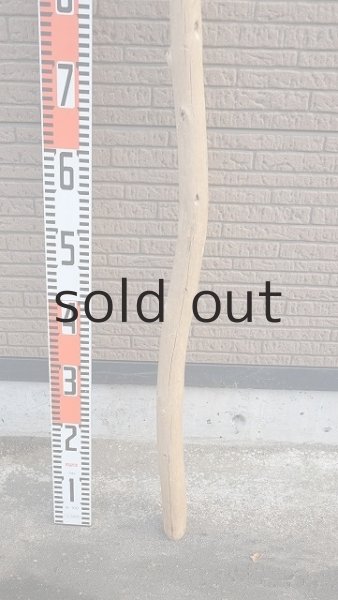 画像5: 棒流木・長尺 (5)