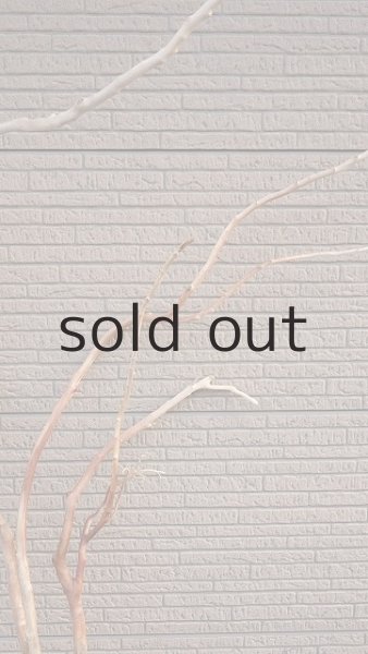 画像6: 幹流木 (6)