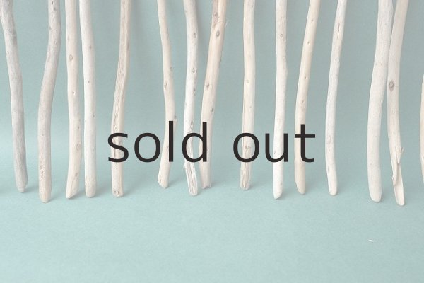 画像6: 棒流木セット (6)