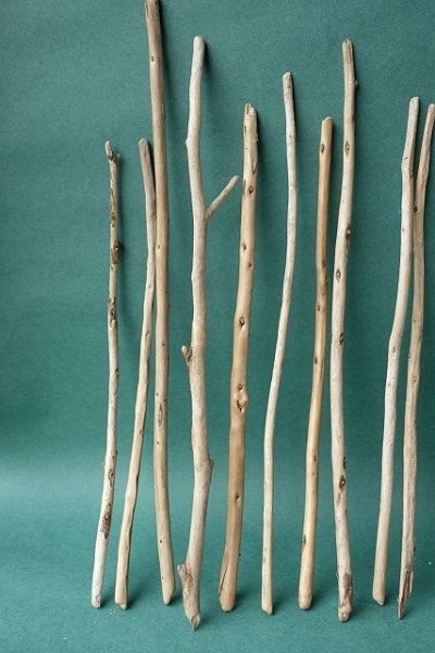 画像2: 棒流木セット (2)