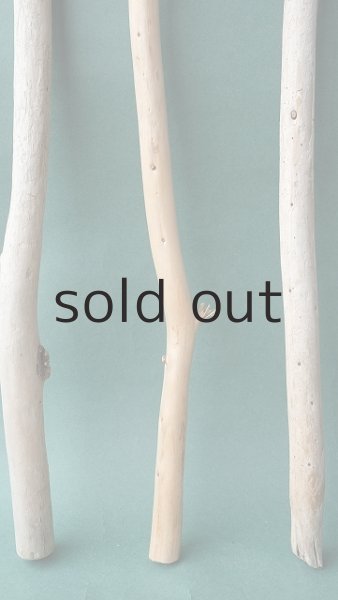 画像2: 棒流木セット (2)