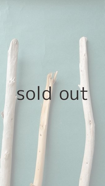 画像4: 棒流木セット (4)