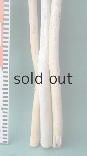 画像5: 棒流木セット (5)