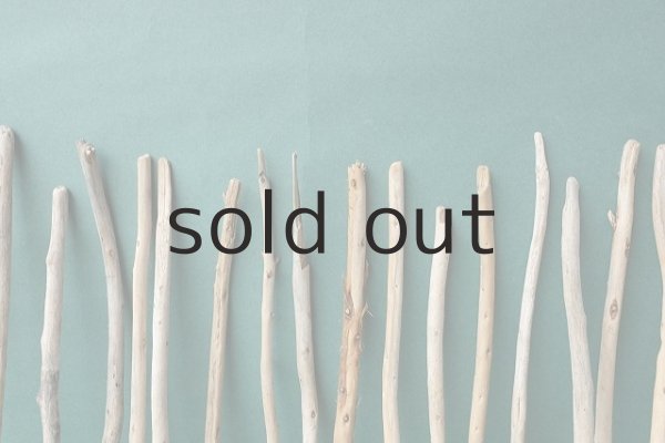 画像7: 棒流木セット (7)